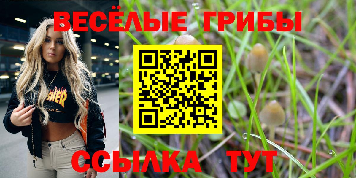 Йошкар-Ола  Галлюциногенные грибы Magic Shrooms  Вход с VPN 