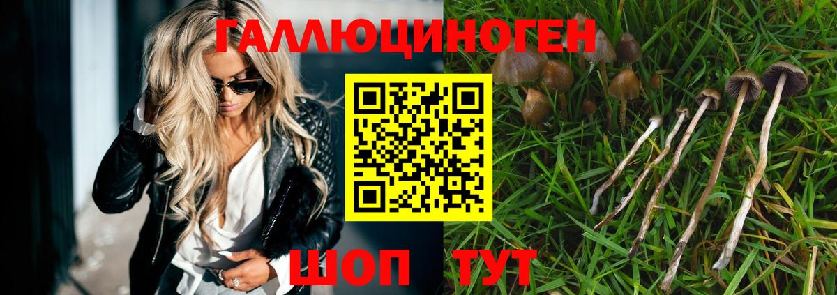 Псилоцибиновые грибы GOLDEN TEACHER Йошкар-Ола
